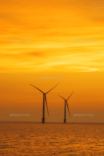 風力発電 油彩画 夕日27cm25cm 富山県東部沖の洋上風力発電の夕日[01801025178]の写真・イラスト素材