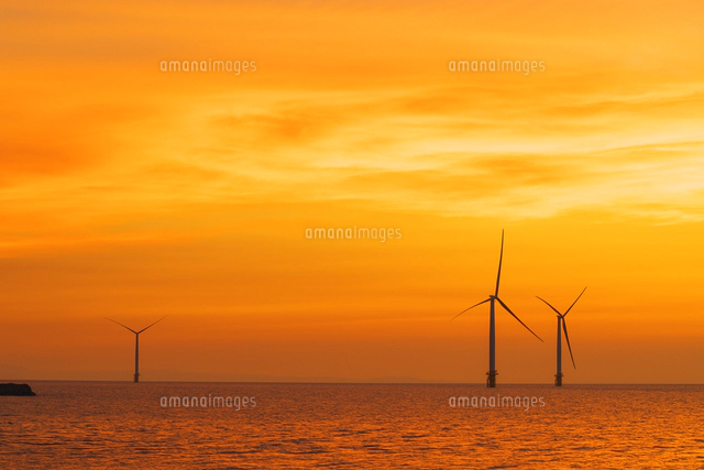 風力発電 油彩画 夕日27cm25cm 富山県東部沖の洋上風力発電の夕日[01801025178]の写真・イラスト素材