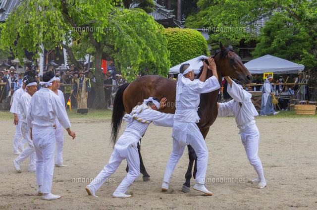 相馬野馬追 お行列[01801026263]の写真・イラスト素材｜アマナイメージズ