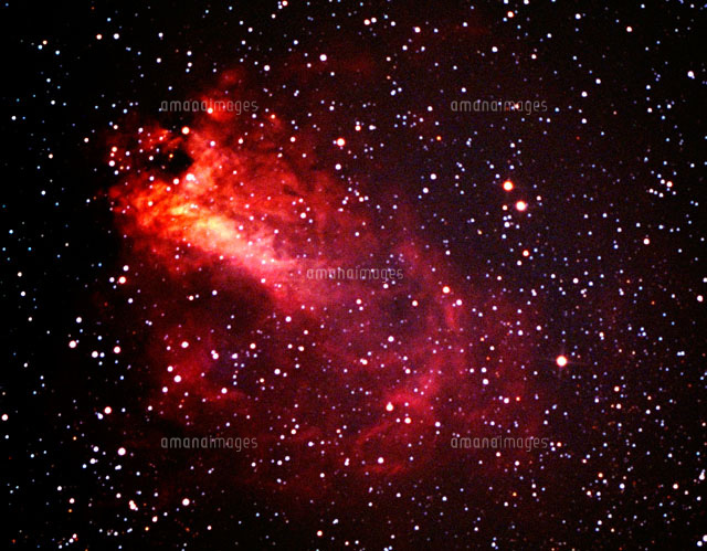 白鳥星雲 の写真素材 イラスト素材 アマナイメージズ