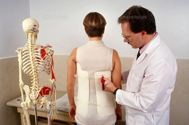 骨格標本の写真素材 ストックフォト アマナイメージズ