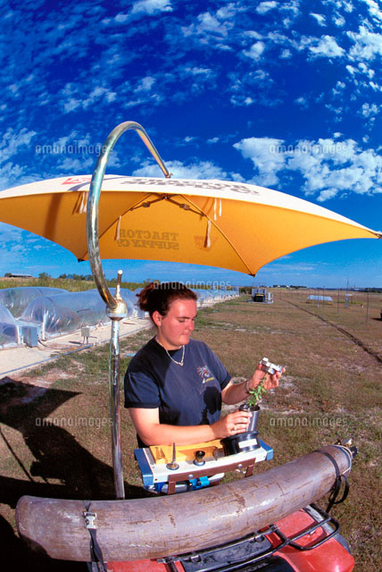 様々な二酸化炭素濃度での植物栽培 の写真素材 イラスト素材 アマナイメージズ