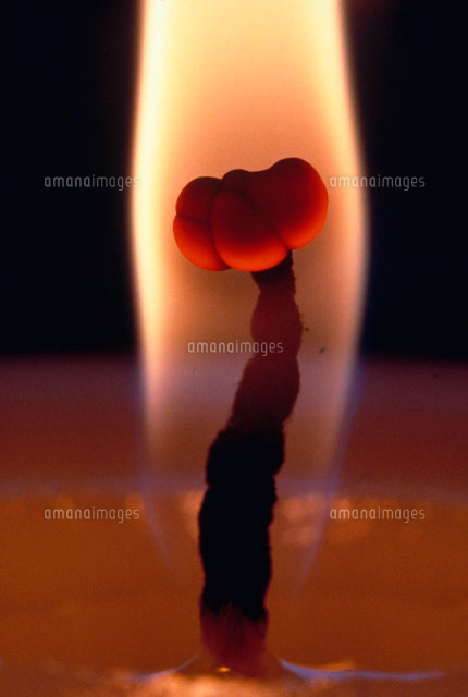 ろうそくの芯 の写真素材 イラスト素材 アマナイメージズ