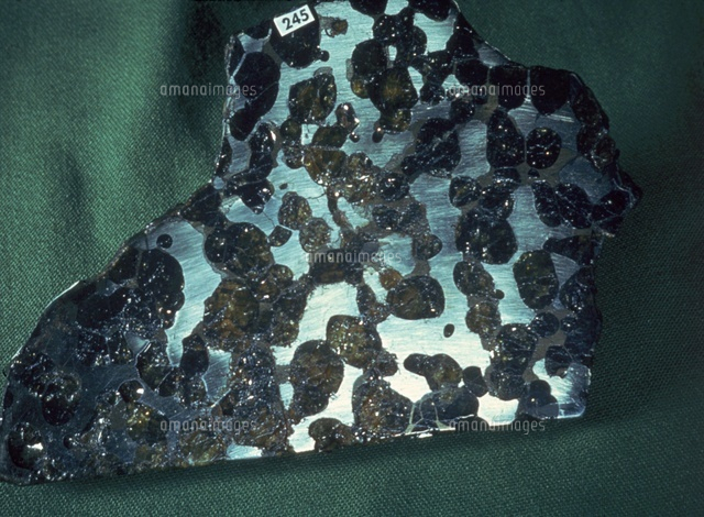 ブレナム隕石（Brenham Meteorite)