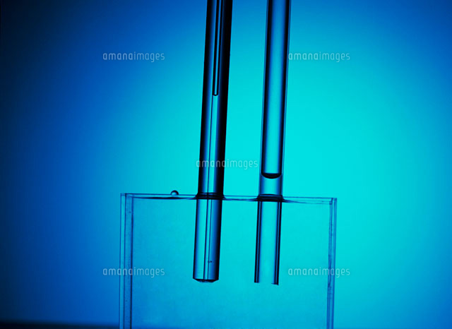 水の毛管現象を示す実験 の写真素材 イラスト素材 アマナイメージズ