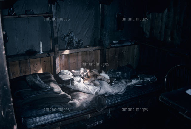 エバンスの山小屋 の写真素材 イラスト素材 アマナイメージズ