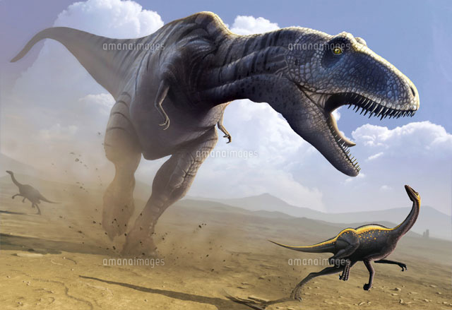 Tyrannosaurus Rex Hunting の写真素材 イラスト素材 アマナイメージズ Tyrannosaurus Rex Hunting の写真素材 イラスト素材 アマナイメージズ