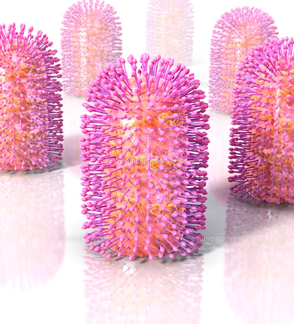 Rabies virus, artwork[01809029550]の写真素材・イラスト素材｜アマナイメージズ