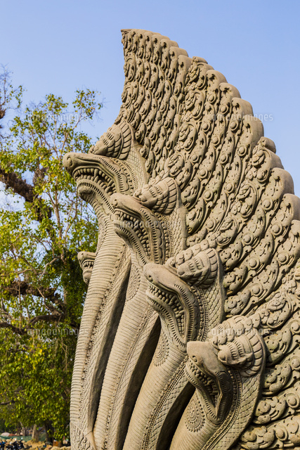 蛇神ナーガ[01881423502]の写真・イラスト素材｜アマナイメージズ