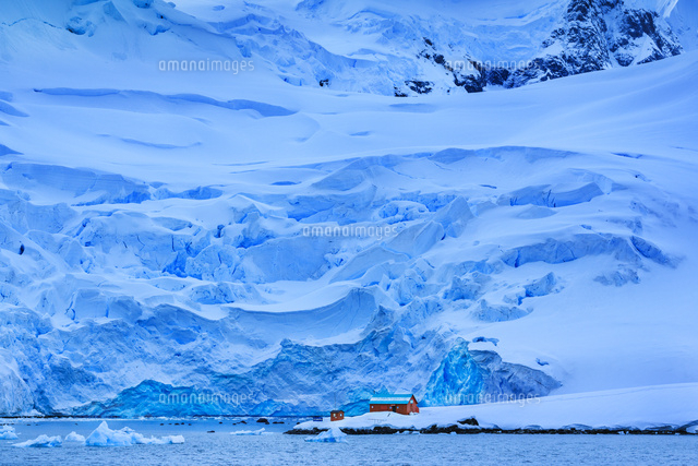 アルミランテ・ブラウン基地 氷河[01888611509]の写真素材・イラスト素材｜アマナイメージズ