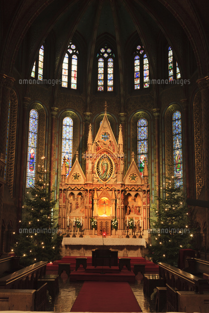 マーチャーシュ聖堂 主祭壇 の写真素材 イラスト素材 アマナイメージズ