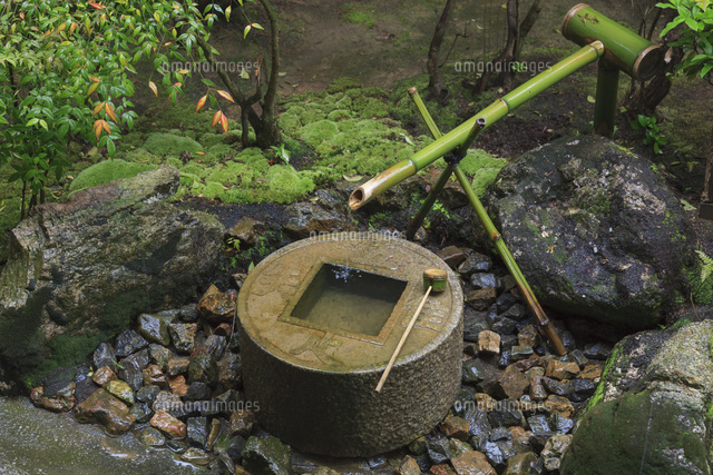 龍安寺 蹲踞（つくばい）[01888616419]の写真・イラスト素材｜アマナ