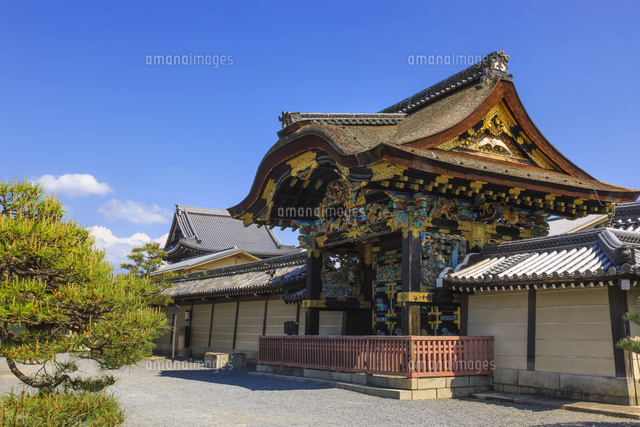 本願寺 西本願寺 唐門 の写真素材 イラスト素材 アマナイメージズ