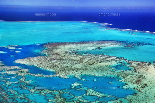 グランドテール島西海岸のサンゴ礁 空撮 の写真素材 イラスト素材 アマナイメージズ