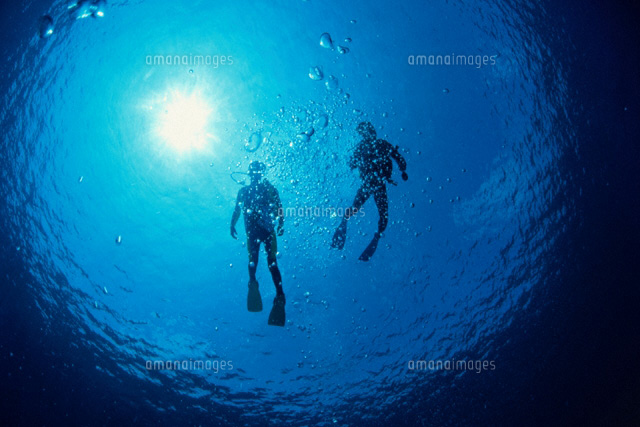 2人のダイバーの水中撮影 サイパン[01927001984]の写真・イラスト素材
