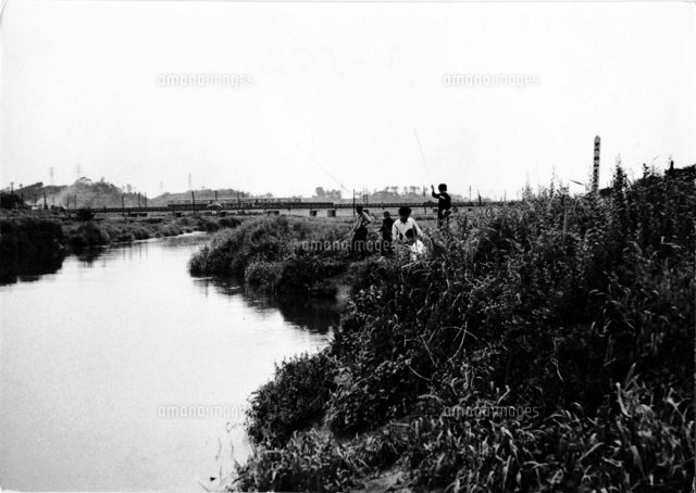 鶴見川鉄橋(昭和30年代)[02088000539]の写真・イラスト素材｜アマナ