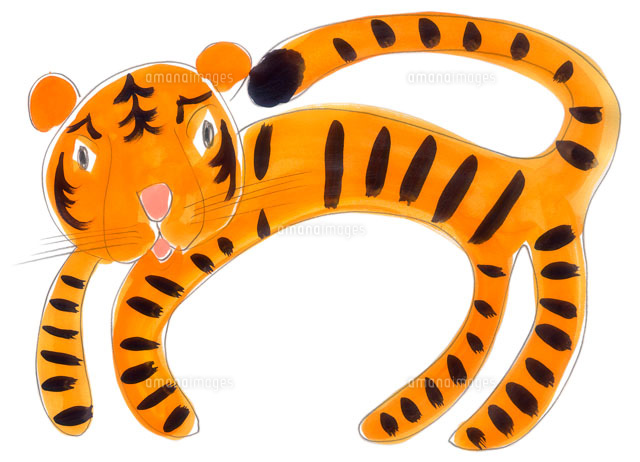 細長い手と足をした虎 の写真素材 イラスト素材 アマナイメージズ