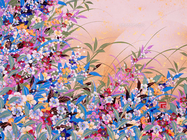 野に咲く花や草2[02237001864]の写真・イラスト素材｜アマナイメージズ