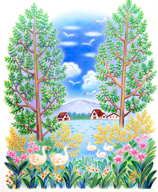 夏の水辺に遊ぶアヒルのメルヘン の写真素材 イラスト素材 アマナイメージズ