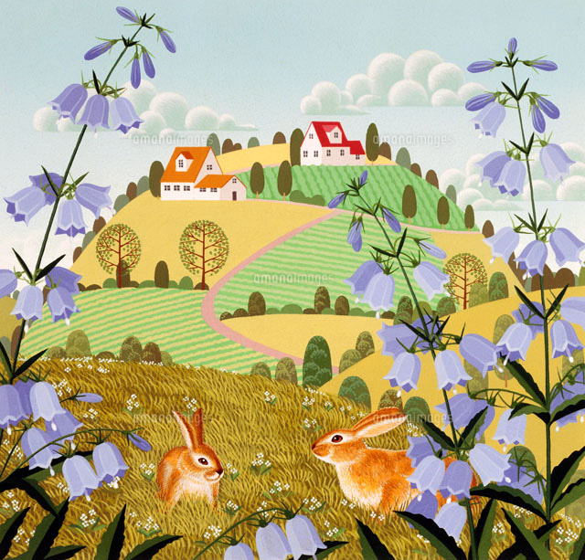 青い野草の咲く丘の2匹のウサギ の写真素材 イラスト素材 アマナイメージズ