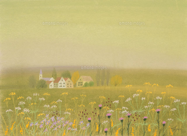 メルヘン街道の家並を秋花の向こうに望む の写真素材 イラスト素材 アマナイメージズ