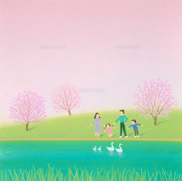 桜の咲く水辺で白鳥に話しかけるファミリー の写真素材 イラスト素材 アマナイメージズ