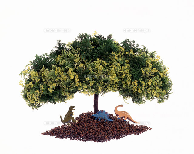 木と土と恐竜のジオラマ の写真素材 イラスト素材 アマナイメージズ