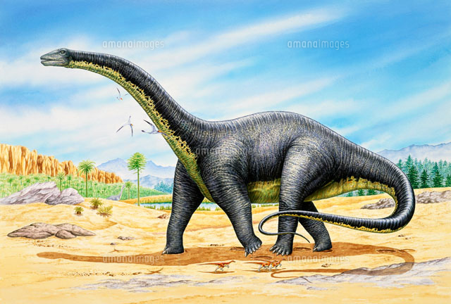 ブロントザウルス コンピー ランフォ[02237006937]の写真・イラスト素材｜アマナイメージズ