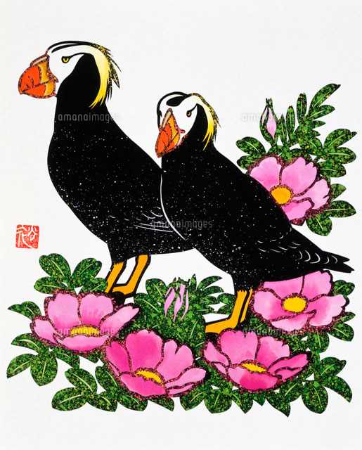 夏のハマナスの花と二羽のエトピリカ の写真素材 イラスト素材 アマナイメージズ