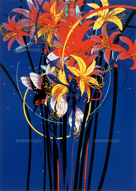 百合の花束と蝶 の写真素材 イラスト素材 アマナイメージズ