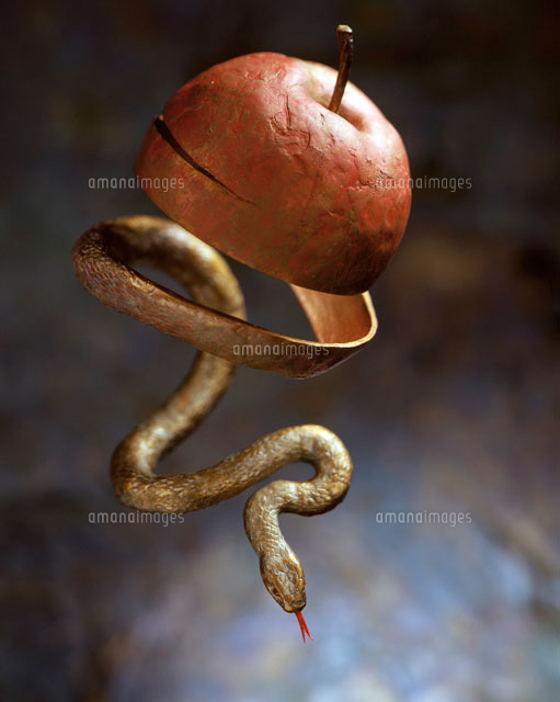 立体 赤リンゴからヘビへ の写真素材 イラスト素材 アマナイメージズ