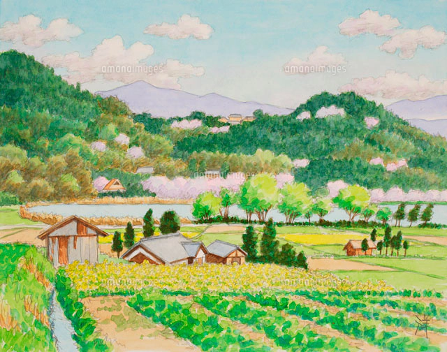 高雄紅葉　京楽四季　水彩画 赤い橋 高雄紅葉 京楽四季 水彩画 赤い橋