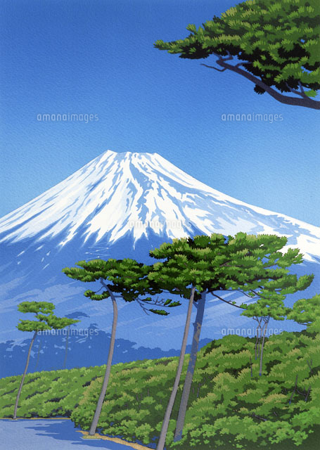 富士山と松並木[02237009770]の写真・イラスト素材｜アマナイメージズ