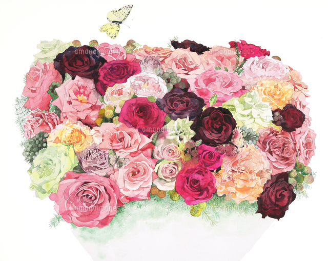４０本の薔薇と蝶々 の写真素材 イラスト素材 アマナイメージズ