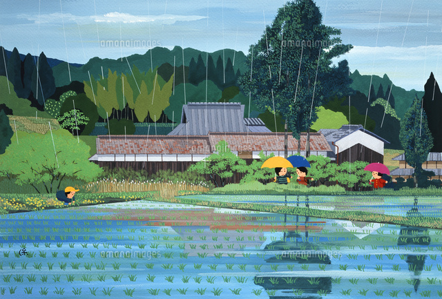 雨の畦道 の写真素材 イラスト素材 アマナイメージズ