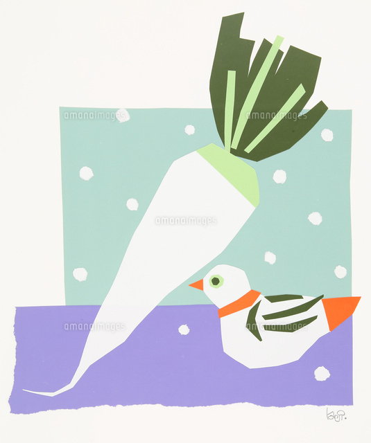 雪や大根など冬の季節イラスト の写真素材 イラスト素材 アマナイメージズ