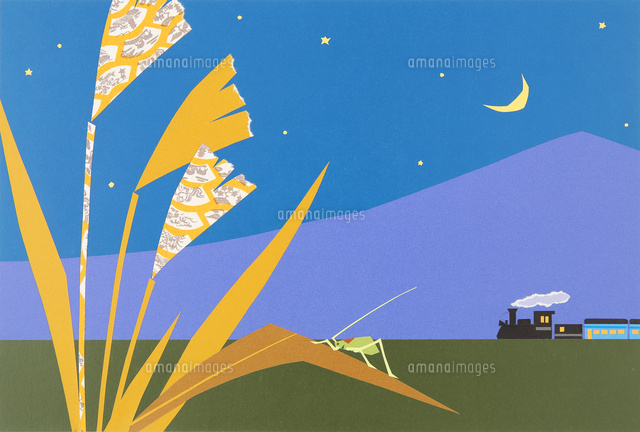 秋の月夜を走る汽車とススキ の写真素材 イラスト素材 アマナイメージズ