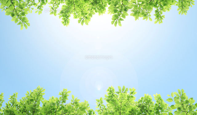 新緑と空 の写真素材 イラスト素材 アマナイメージズ
