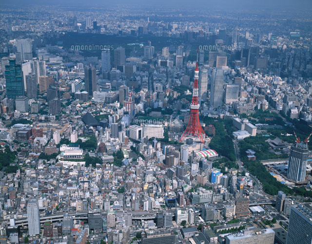 東京タワー周辺 3D都市データを活用した都市模型 1/2000 東京タワー |