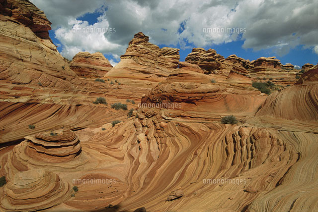 Slickrock，Vermilion Cliffs National Monument[02314004681]の写真素材・イラスト素材 ...