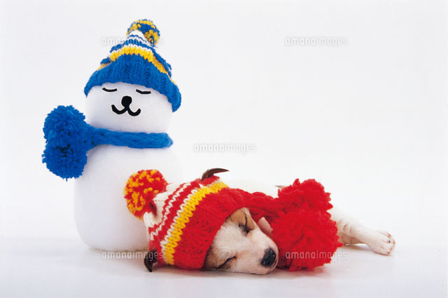 犬と雪だるま の写真素材 イラスト素材 アマナイメージズ