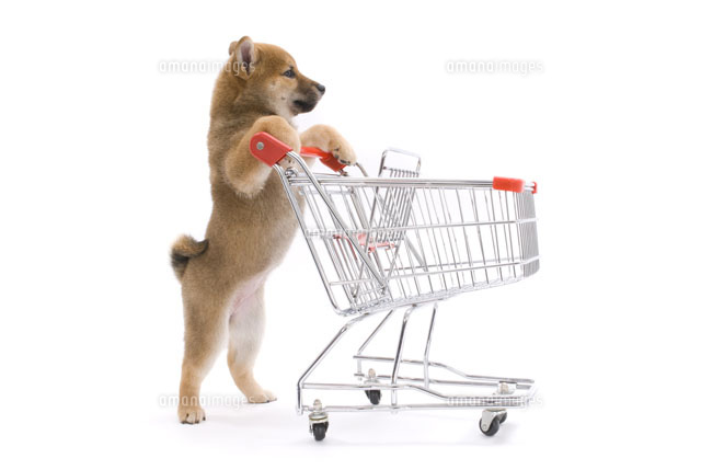 買い物かごを押している犬 の写真素材 イラスト素材 アマナイメージズ