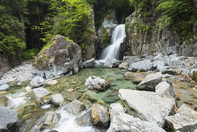 新緑の付知峡仙樽の滝[02335003181]の写真・イラスト素材｜アマナ