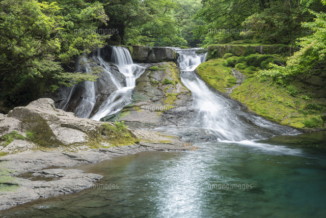 新緑の菊池渓谷 四十三万滝[02335003253]の写真・イラスト素材｜アマナ