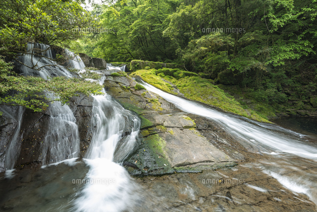 新緑の菊池渓谷 四十三万滝[02335003255]の写真・イラスト素材｜アマナ