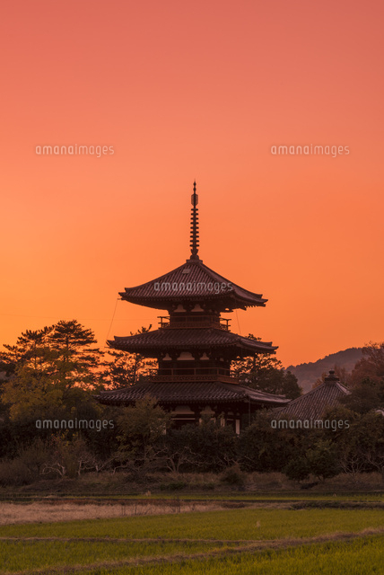 夕焼けに染まる法起寺[02335005094]の写真・イラスト素材｜アマナ