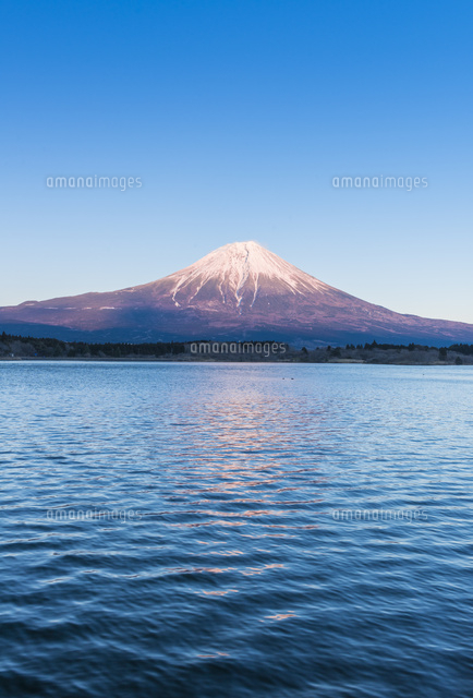 田貫湖と夕日に照らされた富士山[02335005488]の写真・イラスト素材