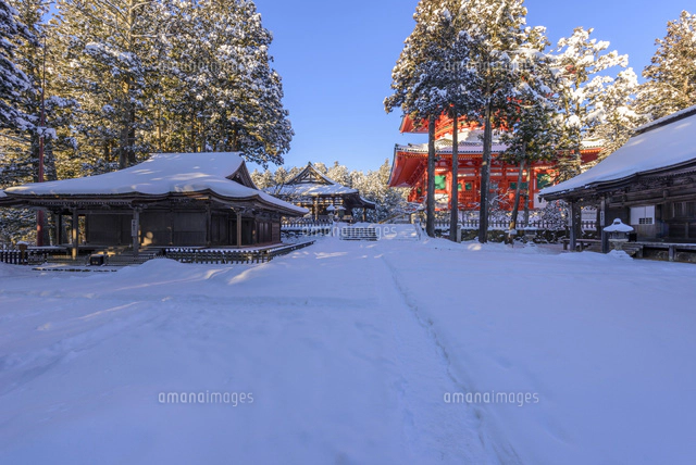 冬の高野山金剛峯寺奥の院杉並木参道[02335008640]の写真・イラスト