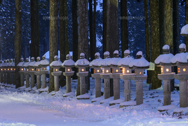 水彩画・冬の高野山奥の院 灯籠灯る冬の高野山金剛峯寺奥の院参道[02335008643]の写真・イラスト