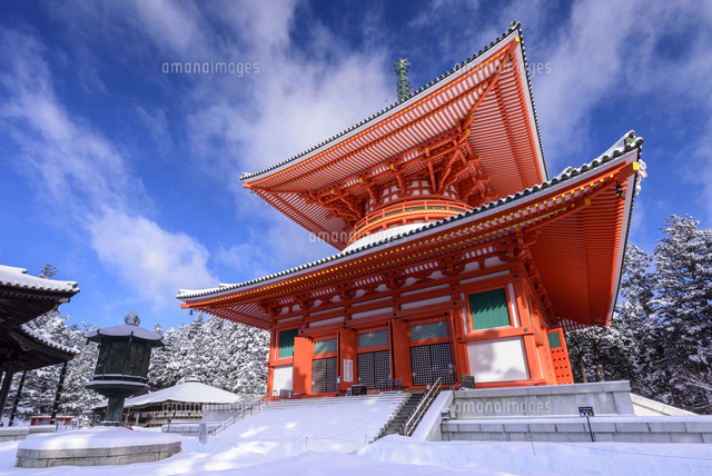 高野山　根本大塔 冬の高野山金剛峯寺根本大塔[02335008634]の写真・イラスト素材